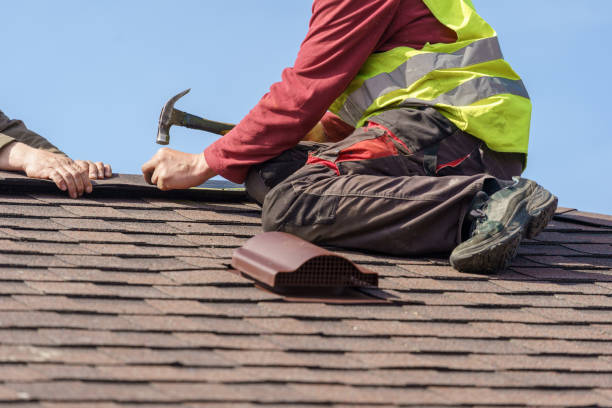 Best Roof Gutter Cleaning  in Salina, KS